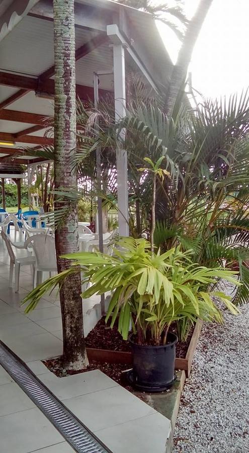 Hôtel Des Amandiers Cayenne Exterior foto
