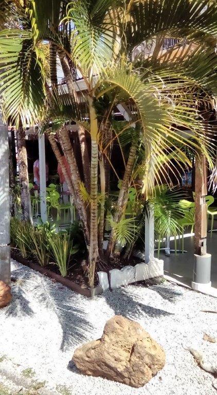 Hôtel Des Amandiers Cayenne Exterior foto